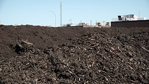 Compost Pile